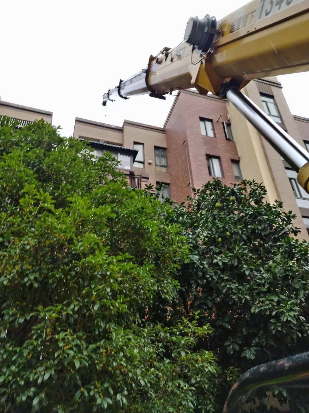 秦皇岛市注塑机吊装搬运案例分享